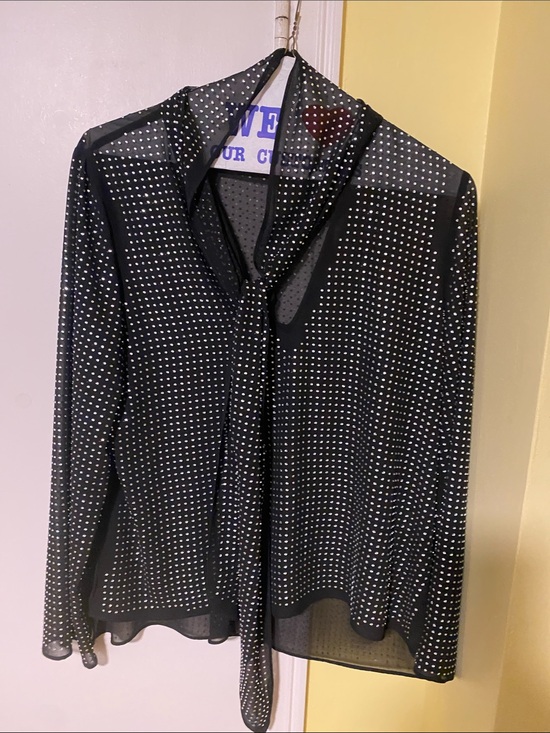 Zara Tops - Zara Black Sheer Polka Dot Tie-Neck Blouse